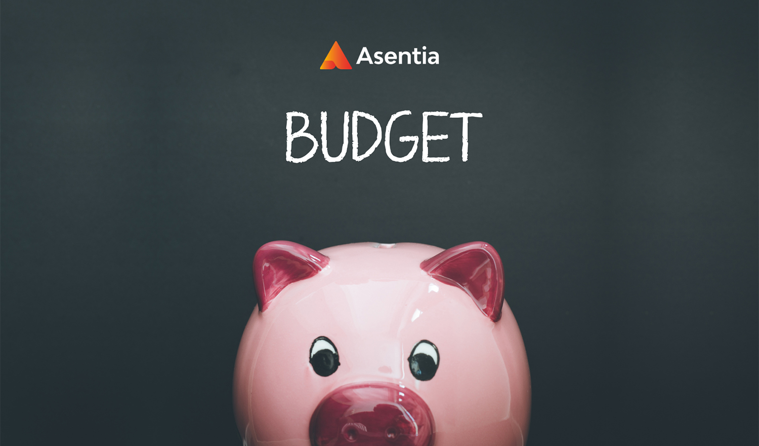 Successfully Managing a Budget Blowout on Your Next Project?. Follow These 5 Steps.