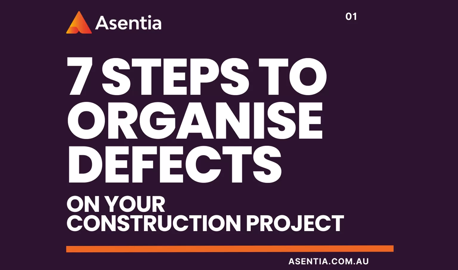Steps for Project Owners to Efficiently Organise Building Defects